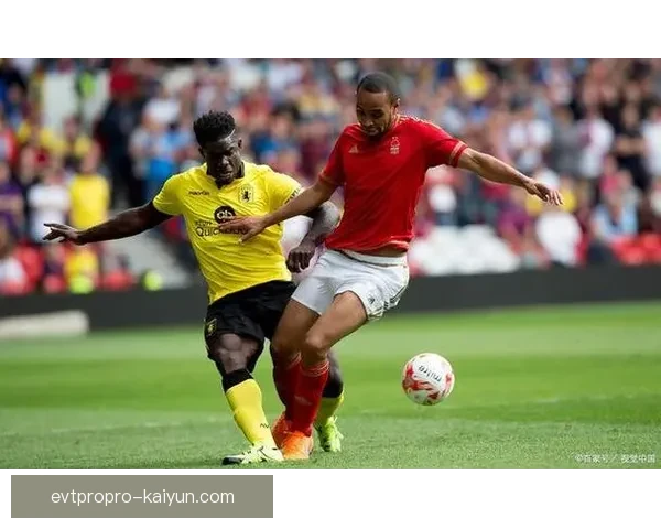 球场建设进展顺利，预计明年正式投入使用，备受期待。